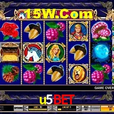 Game Providers u5bet