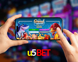 Programa VIP u5bet